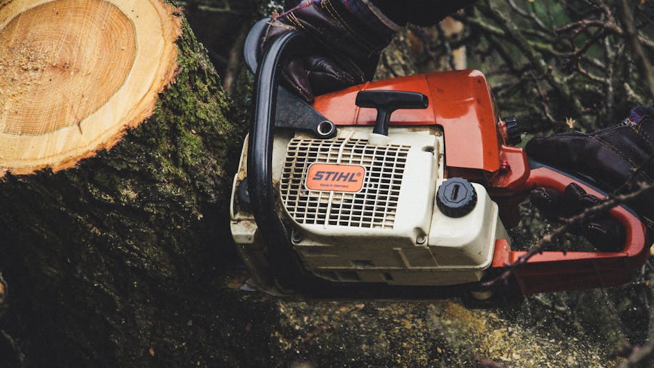 Stump Grinding in Washington Township NJ
