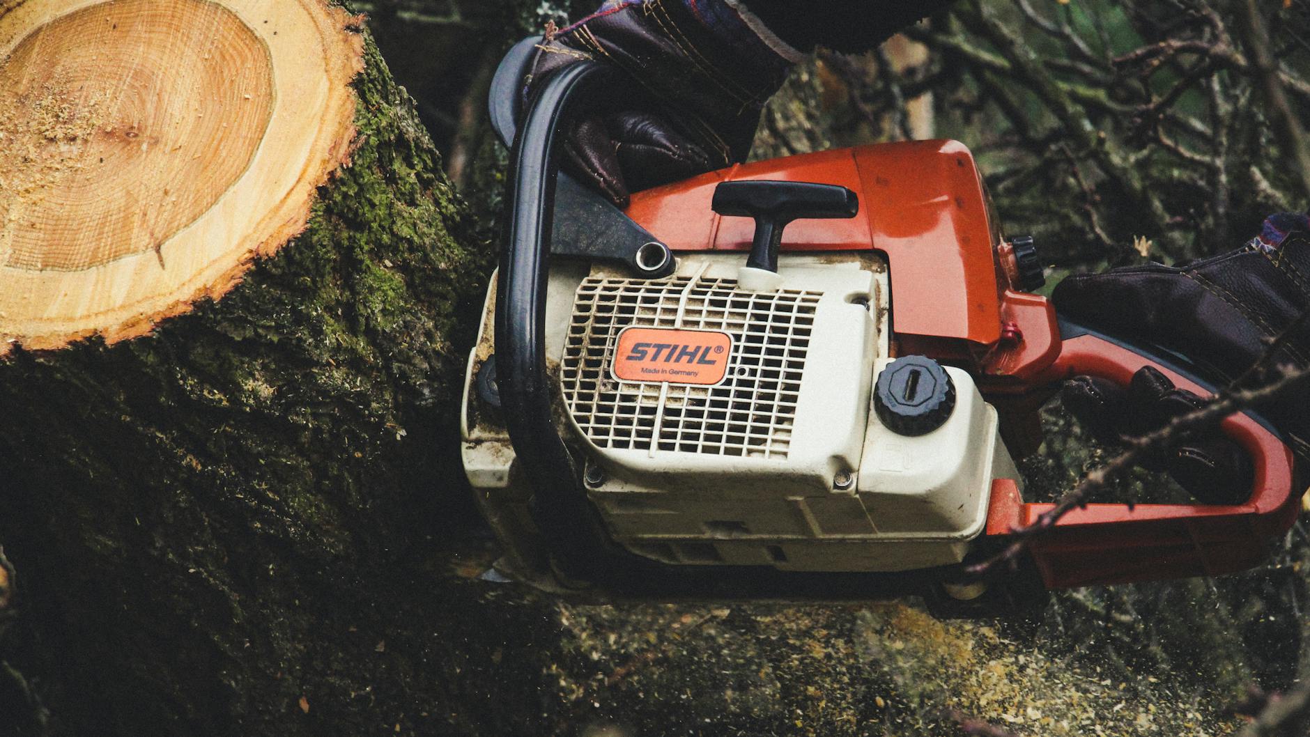 Stump Grinding in Washington Township, NJ — Washington Township NJ